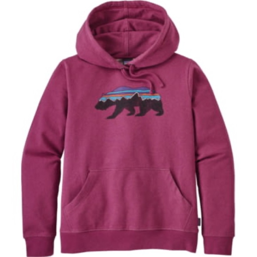 Patagonia Fitz Roy Bear Hoodie